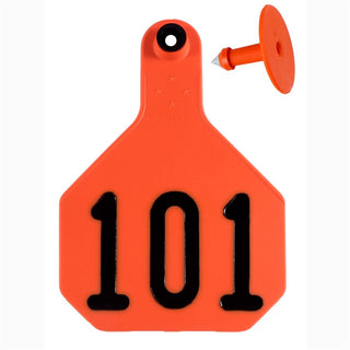 Y-Tex Orange All American 4 Star Tags Large Numbered 101-125: Pack of 25