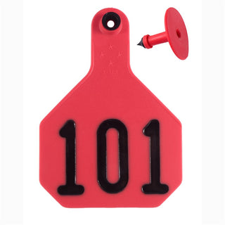 Y-Tex Red All American 4 Star Tags Large Numbered 101-125: Pack of 25