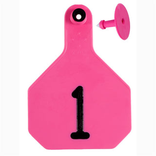 Y-Tex Pink All American 4 Star Tags Large Numbered 1-25: Pack of 25