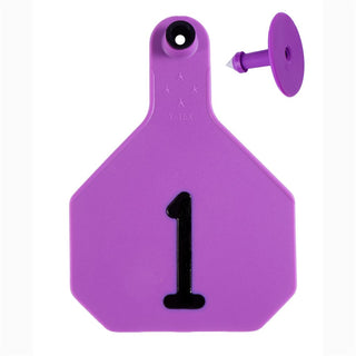 Y-Tex Purple All American 4 Star Tags Large Numbered 1-25: Pack of 25