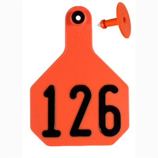 Y-Tex Orange All American 4 Star Tags Large Numbered 126-150: Pack of 25