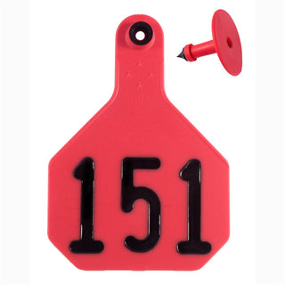 Y-Tex Red All American 4 Star Tags Large Numbered 151-175: Pack of 25