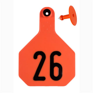 Y-Tex Orange All American 4 Star Tags Large Numbered 26-50: Pack of 25