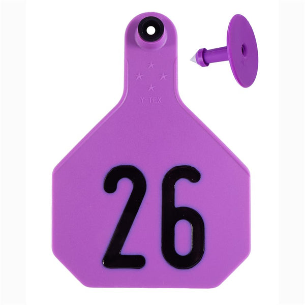 Y-Tex Purple All American 4 Star Tags Large Numbered 26-50: Pack of 25