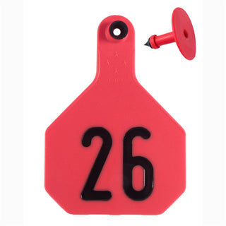 Y-Tex Red All American 4 Star Tags Large Numbered 26-50: Pack of 25