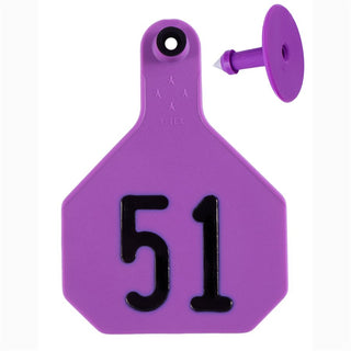 Y-Tex Purple All American 4 Star Tags Large Numbered 51-75: Pack of 25