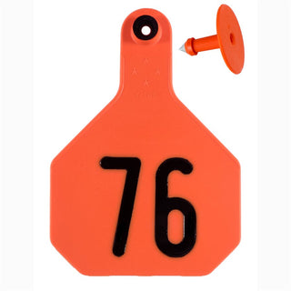 Y-Tex Orange All American 4 Star Tags Large Numbered 76-100: Pack of 25