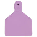 Z Tag No Snag Calf Blank : Tags -  Pack of 25 Purple