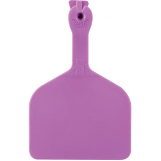 Z Tag Purple Feedlot Blank : Pack of 50