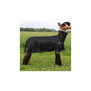 Sullivan Cool Tech Sheep Blanket : Black Large (140 to 175lbs)