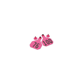 Y-Tex Pink All American 3 Star Tags Medium Numbered 76-100: Pack of 25