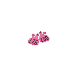 Y-Tex Pink All American 4 Star Tags Large Numbered 176-200: Pack of 25