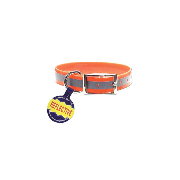 Dog Collar Dayglo Reflective 1