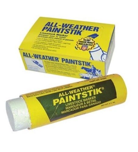 Paintsticks  White : 12ct