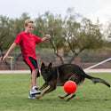 Jolly Pets Ocean Blue  Soccer Ball Dog Toy : 6