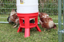 Poultry Dome Waterer with Legs : 10gal