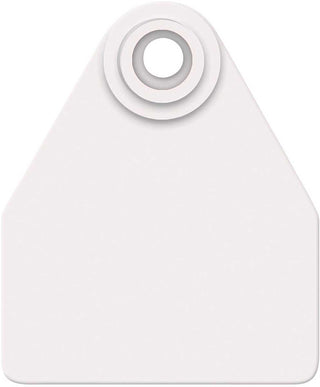 Allflex Global White Blank Medium Tags : 25ct