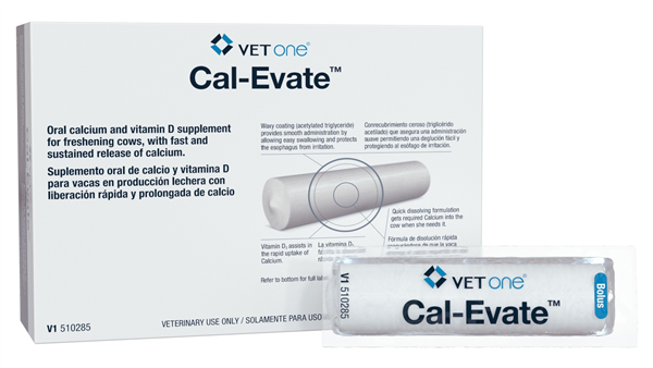 Vetone Cal-Evate Boluses : 12ct