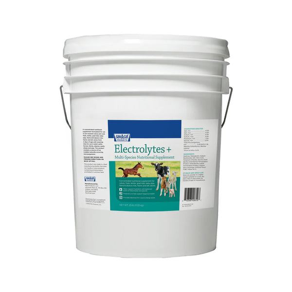 Sav A Caf Electrolyte Plus : 25lb