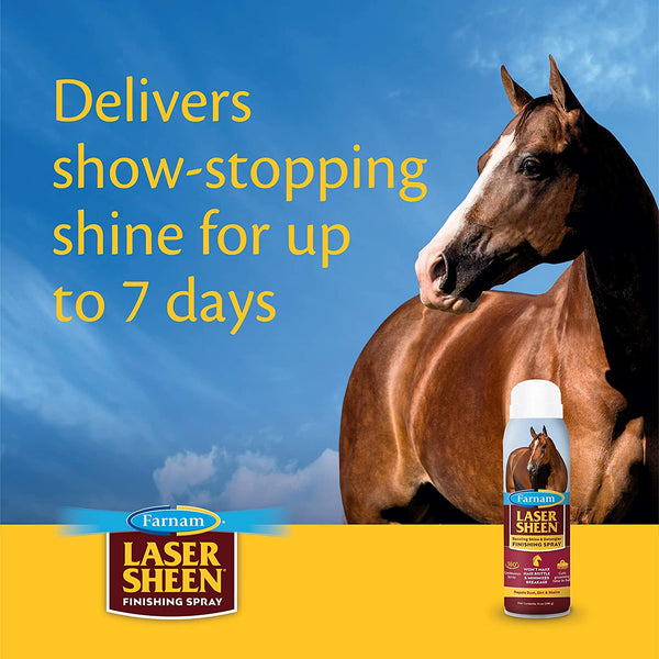 Laser Sheen Dazzling Finish Spray : 16oz