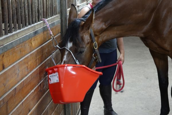 Better Bucket Plastic Red : 20qt