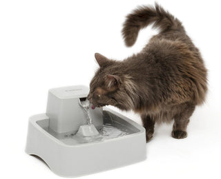 Drinkwell Plastic Pet Fountain : 1/2 gal